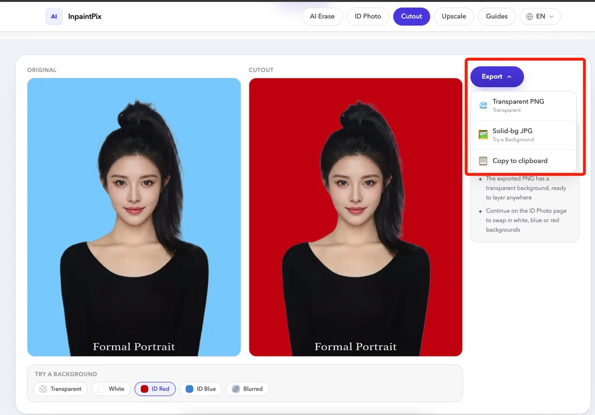 The export panel with the transparent PNG and solid background JPG options